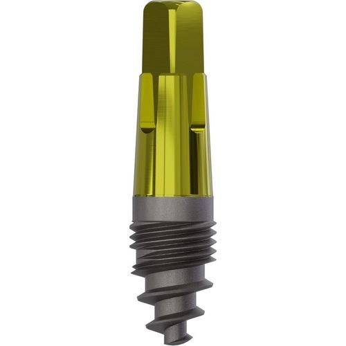 Konisches Zahnimplantat - 0900 - Champions Implants GmbH - Titan / gerade