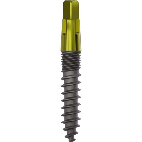 Konisches Zahnimplantat - 1080 - Champions Implants GmbH - Titan / gerade