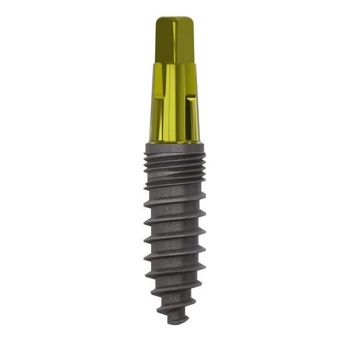 Konisches Zahnimplantat - 1057 - Champions Implants GmbH - Titan / gerade