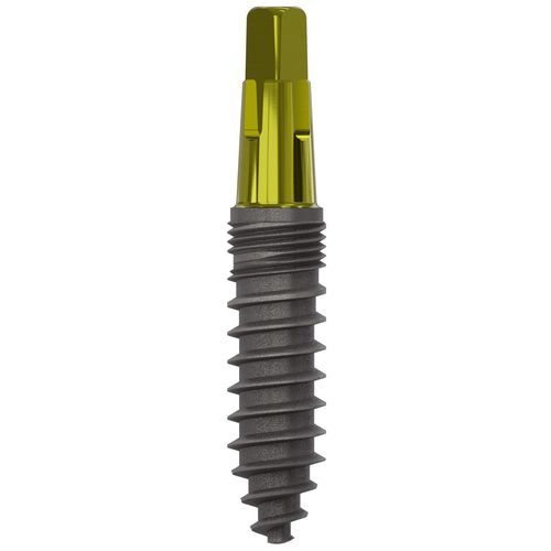 Konisches Zahnimplantat - 1097 - Champions Implants GmbH - Titan / gerade