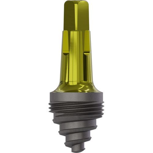 Konisches Zahnimplantat - 0920 - Champions Implants GmbH - Titan / gerade