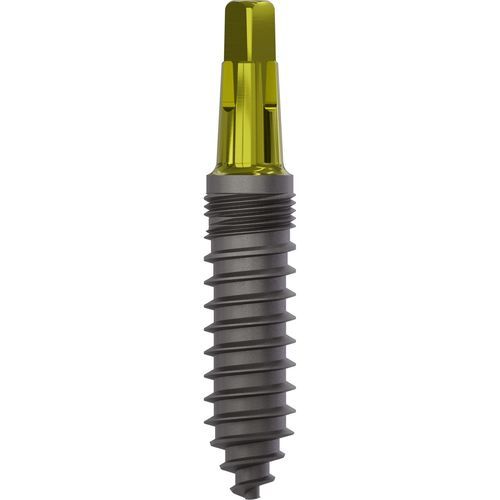 Konisches Zahnimplantat - 1140 - Champions Implants GmbH - Titan / quadratisch / gerade