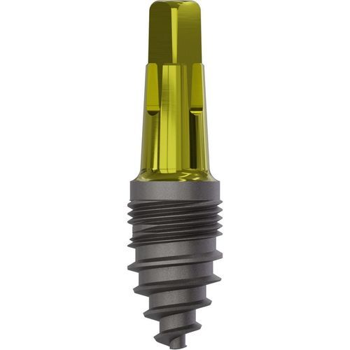Konisches Zahnimplantat - 1010 - Champions Implants GmbH - Titan / gerade