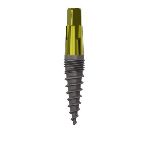 Konisches Zahnimplantat - 1055 - Champions Implants GmbH - Titan / gerade