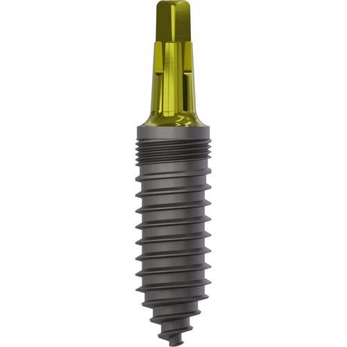Konisches Zahnimplantat - 1150 - Champions Implants GmbH - Titan / gerade