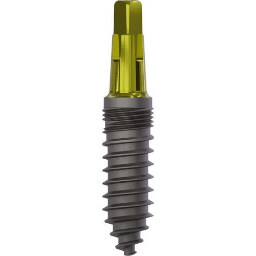 Konisches Zahnimplantat - 1100 - Champions Implants GmbH - Titan / gerade