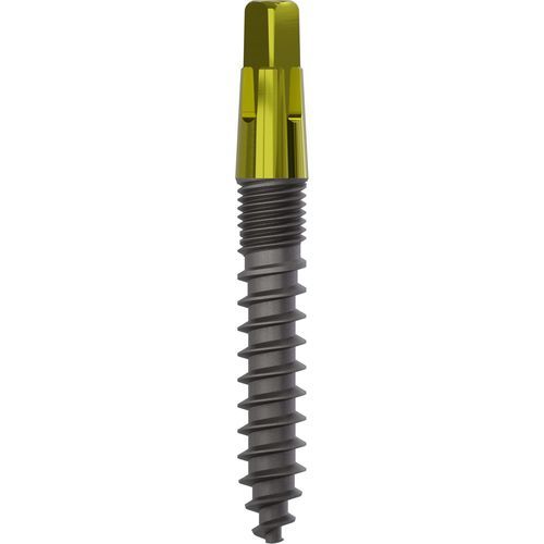 Konisches Zahnimplantat - 1120 - Champions Implants GmbH - Titan / gerade