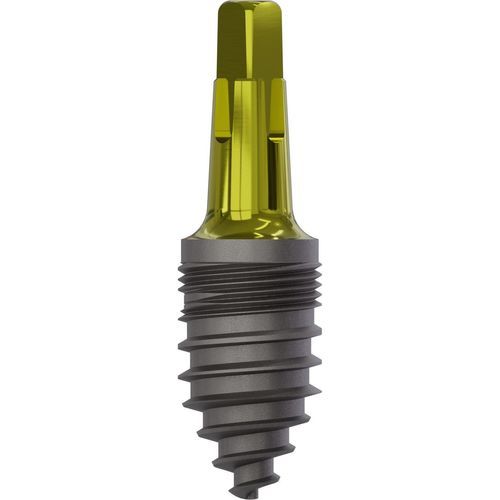 Konisches Zahnimplantat - 1035 - Champions Implants GmbH - Titan / gerade