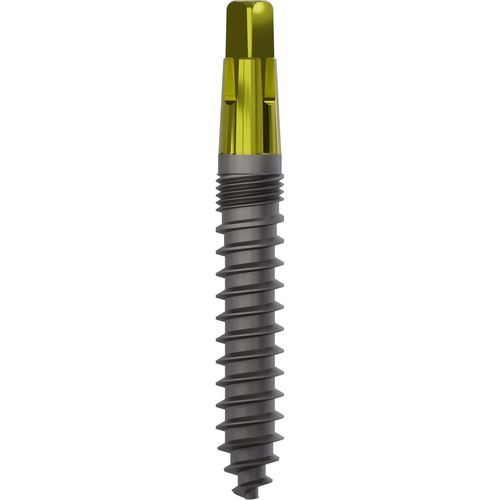 Konisches Zahnimplantat - 1160 - Champions Implants GmbH - Titan / gerade