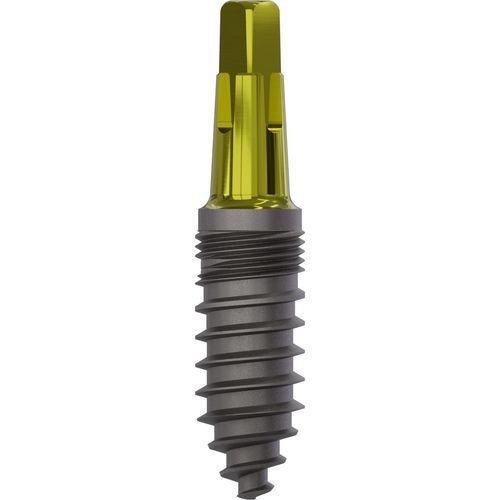 Konisches Zahnimplantat - 1060 - Champions Implants GmbH - Titan / gerade