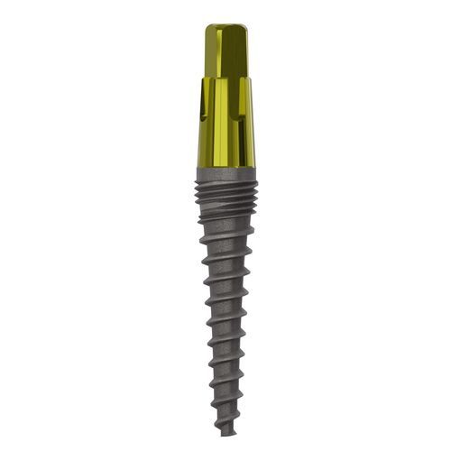 Konisches Zahnimplantat - 1135 - Champions Implants GmbH - Titan / gerade