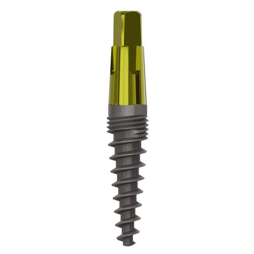 Konisches Zahnimplantat - 1025 - Champions Implants GmbH - Titan / gerade