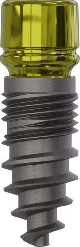 Konisches Zahnimplantat - 0815 - Champions Implants GmbH - Titan / gerade / einteilig