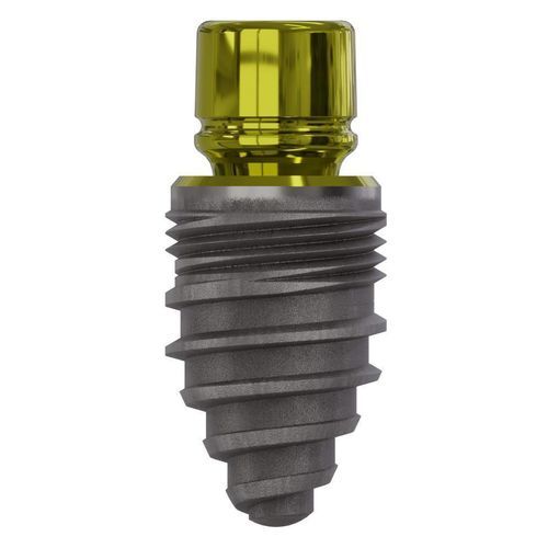 Konisches Zahnimplantat - 0822 - Champions Implants GmbH - Titan / gerade / einteilig