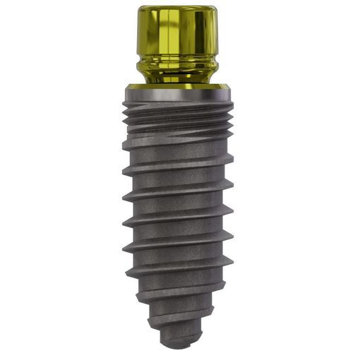 Konisches Zahnimplantat - 0852 - Champions Implants GmbH - Titan / gerade