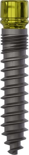 Konisches Zahnimplantat - 0875 - Champions Implants GmbH - Titan / gerade