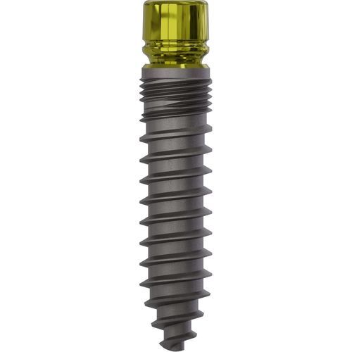 Konisches Zahnimplantat - 0877 - Champions Implants GmbH - Titan / gerade