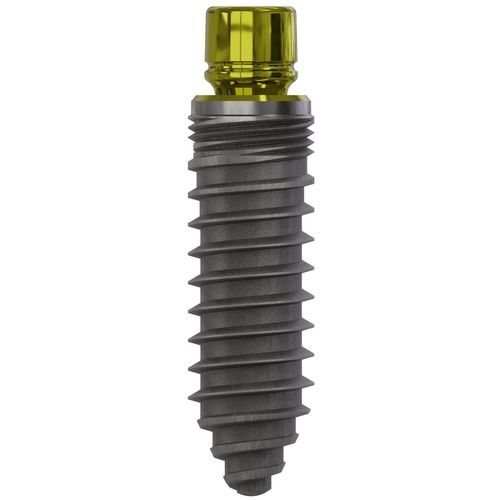 Zylindrisches Zahnimplantat - 0882 - Champions Implants GmbH - Titan / gerade