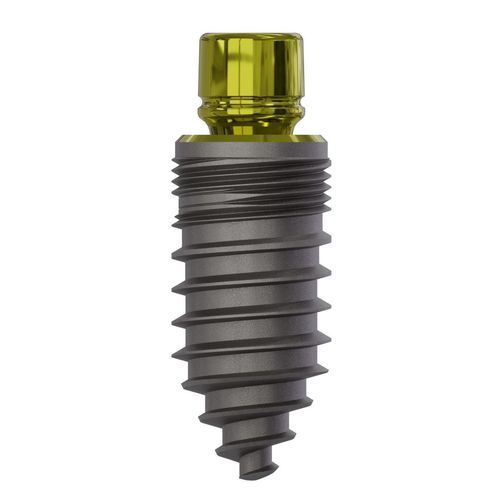 Konisches Zahnimplantat - 0855 - Champions Implants GmbH - Titan / gerade