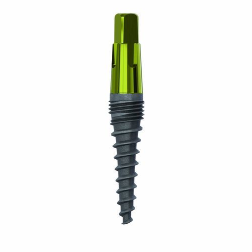 Konisches Zahnimplantat - 1095 - Champions Implants GmbH - Titan / gerade