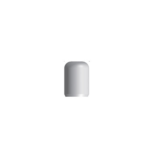 PMMA-Einheilkappe - Int. Absolute Protection  - Cowellmedi - für Implantatabutments / indexiert