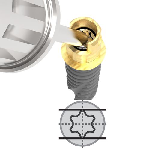 Implantat-Abutment / Titan - Sub. Hybrid A Ti-Base - Cowellmedi - mit Innenverbindung / konisch / inneres Sechseck