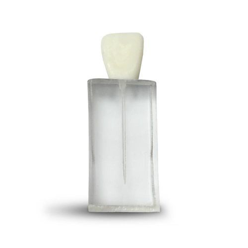 Anatomisches Modell / Dental - E07/C - GF DENTAL - für Endodontie / Ausbildung / weiß