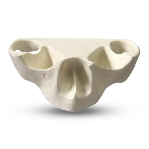 Anatomisches Modell / Tunica serosa - E36/N - GF DENTAL - Nebenhöhle / Knochen / Kiefer