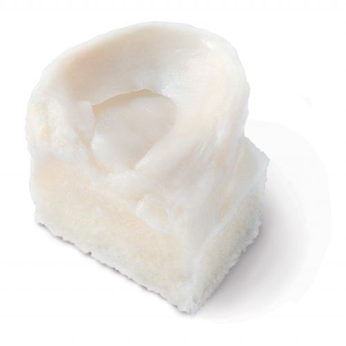 Meniskus-Prothese / allograft - BioCleanse®  - RTI Surgical