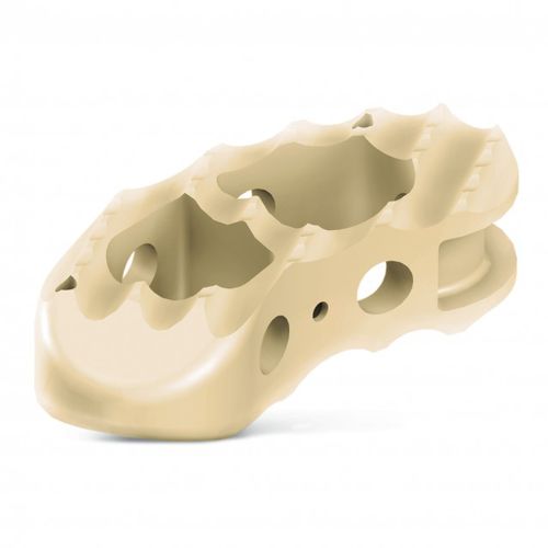 LWS-Zwischenwirbelimplantat - T-Plus™ - RTI Surgical - transforaminaler Zugang / aus PEEK