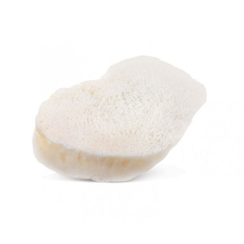 Allograft-Knochenersatzmaterial - AlloWedge® - RTI Surgical - für orthopädische Chirurgie / biegesteif