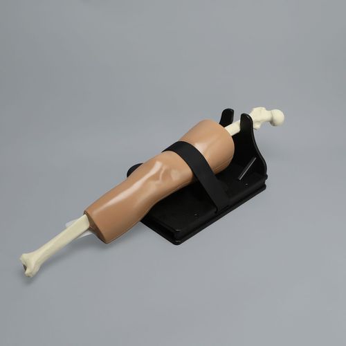 Trainingssimulator - ALICE Knee - Sawbones/Pacific Research Labs - Bewertung / für Allgemeinpflege / Anatomie