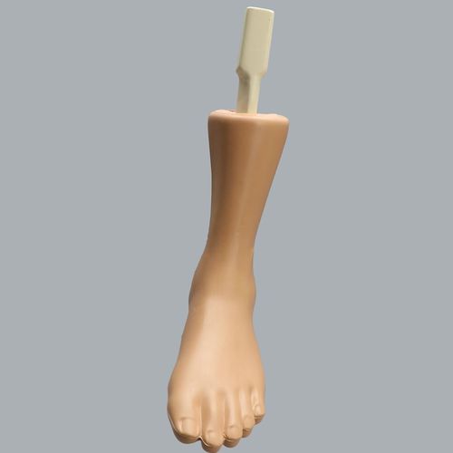Anatomisches Modell / Knochen - Able Advanced - Sawbones/Pacific Research Labs - Knöchel / Ausbildung / für Arthroskopie