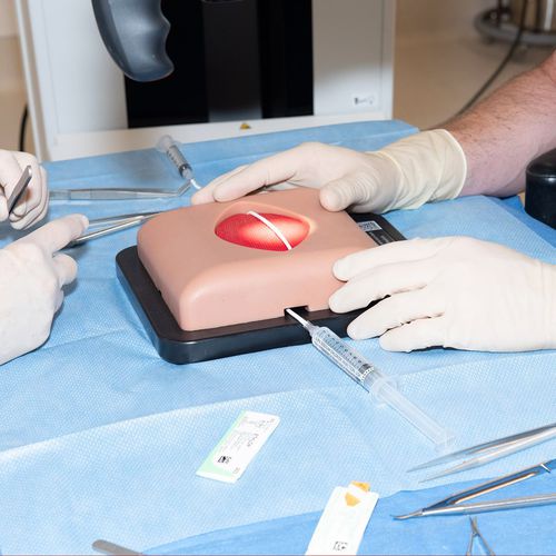 Trainingssimulator - RediStik® - Sawbones/Pacific Research Labs - für Allgemeinpflege / chirurgisch / für Mikrochirurgie