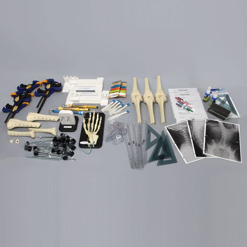 Ausbildungssimulator - Orthopaedics in Action® - Sawbones/Pacific Research Labs - Chirurgie / Anatomie / für Skoliose