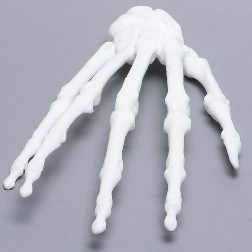 Anatomisches Modell / Hand - 1016-21 - Sawbones/Pacific Research Labs - Radius / Kunststoff / weiß