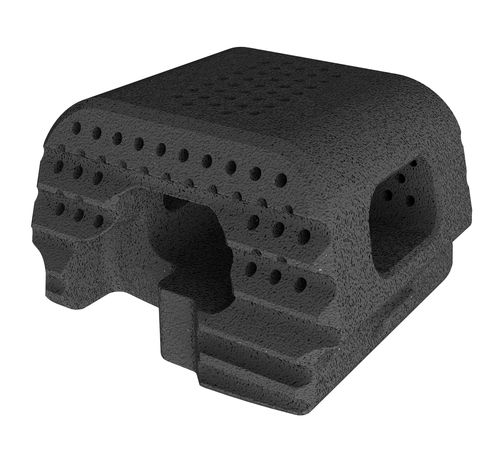 HWS-Zwischenwirbelimplantat - MONET NITRO™ - CTL Medical Corporation - ventraler Zugang