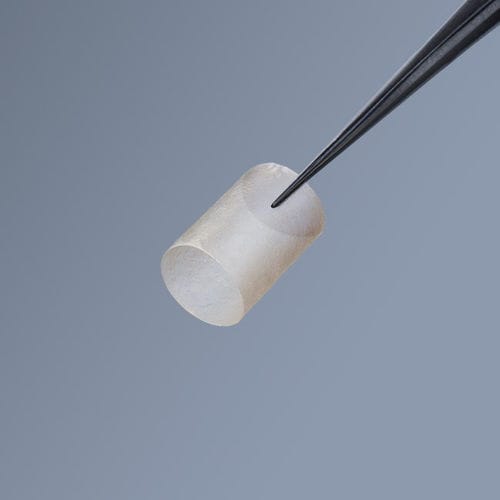 Nerven-Matrix - axoguard ® - AxoGen - xenograft