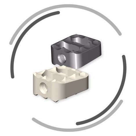 HWS-Zwischenwirbelimplantat - RABEA - Signus Medical - ventraler Zugang / Titan / aus PEEK