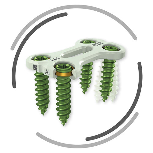 HWS-Arthrodeseplatte - ASCOT - Signus Medical - mit Verriegelung
