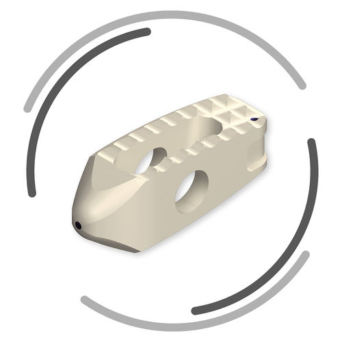 LWS-Zwischenwirbelimplantat - TASMIN R - Signus Medical - dorsaler Zugang / aus PEEK