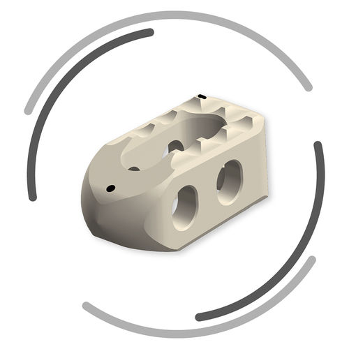 LWS-Zwischenwirbelimplantat - TETRIS II - Signus Medical - dorsaler Zugang / aus PEEK