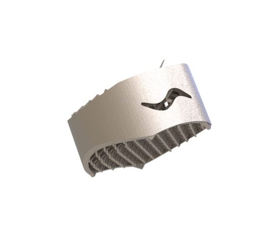 HWS-Zwischenwirbelimplantat - Capraia ACIF - Tsunami Medical - ventraler Zugang / Titan