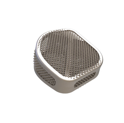 LWS-Zwischenwirbelimplantat - Ortigia OLIF  - Tsunami Medical - schräger Zugang / Titan