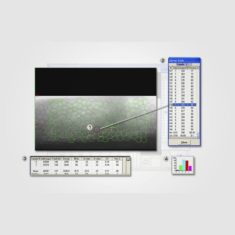 Analysesoftware - CAS/CL - HAI Laboratories - zur Bildverbesserung / Bildimport / Kalibrierung