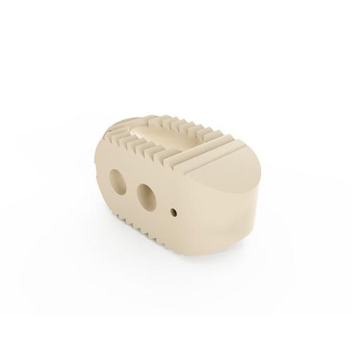 LWS-Zwischenwirbelimplantat - 100 series - South America Implants - dorsaler Zugang / aus PEEK