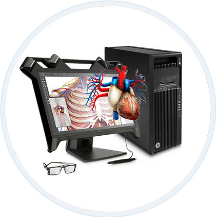 Anatomie-Simulator - EchoPixel True 3D  - Hewlett-Packard - Arbeitsstation / Virtual-Reality