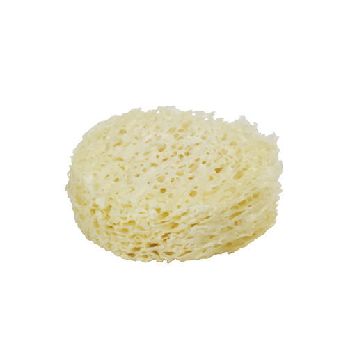 Allograft-Knochenersatzmaterial - 76810 - Bone Bank Allografts - für orthopädische Chirurgie / biegesteif
