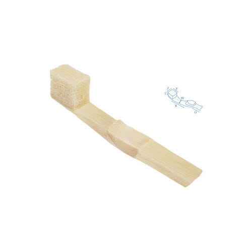 Gelenkband-Bandersatz - SteriGraft® - Bone Bank Allografts - Schienbandsehne / allograft