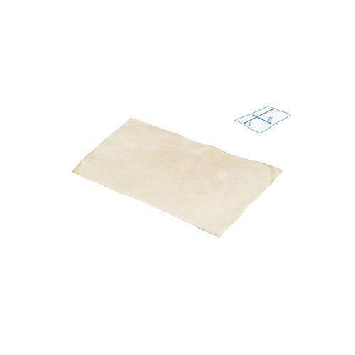 Dura Mater Substitutions-Prothese / allograft - SteriGraft®  - Bone Bank Allografts